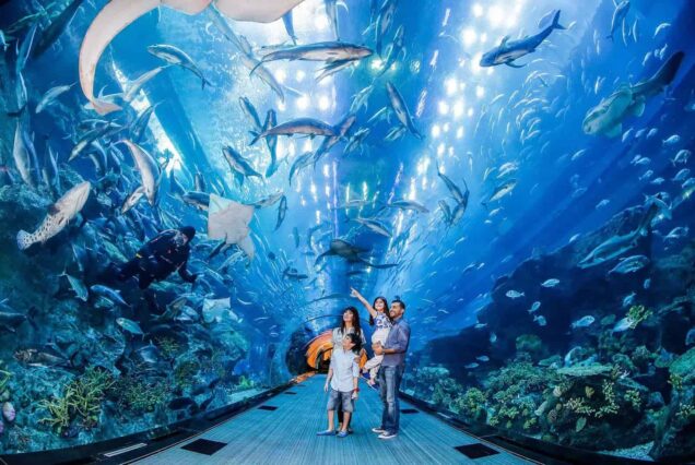 Seaworld From Dubai