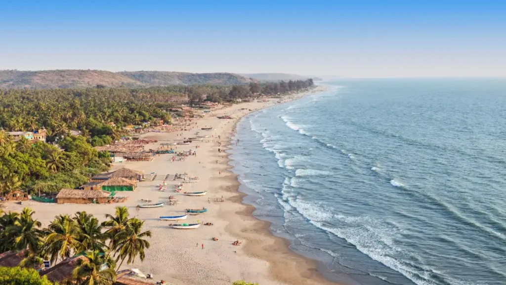 Why Dinner Cruises in Goa Are a Must-Try Experience